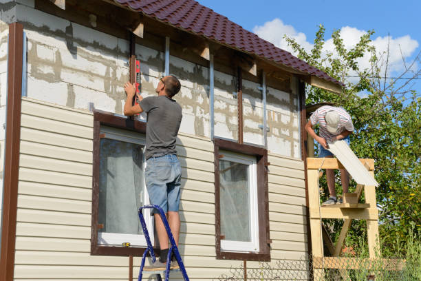 Best Brick Veneer Siding  in Orlinda, TN