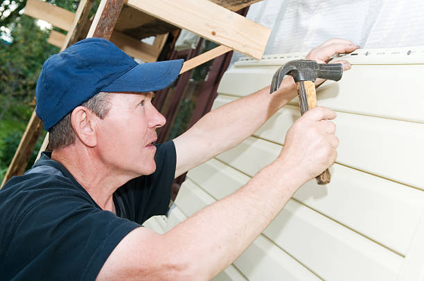 Best Siding Painting and Refinishing  in Orlinda, TN
