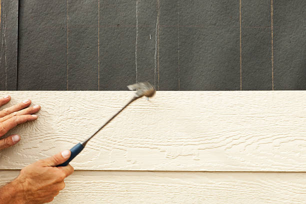 Best Siding for New Construction  in Orlinda, TN